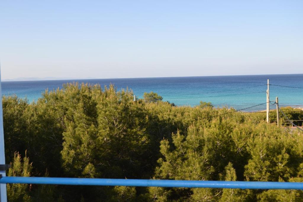 Apartamentos Cas Xurrac Эс-Кало Номер фото